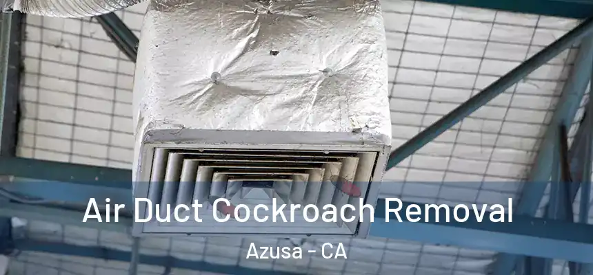 Air Duct Cockroach Removal Azusa - CA