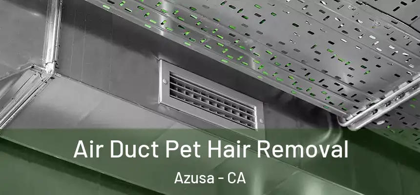  Air Duct Pet Hair Removal Azusa - CA