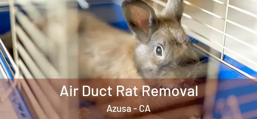  Air Duct Rat Removal Azusa - CA