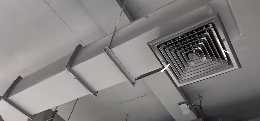 Our Pest Removal From Ducts Services in Azusa, CA