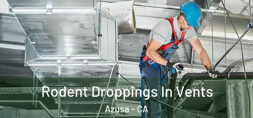 Rodent Droppings In Vents Azusa - CA