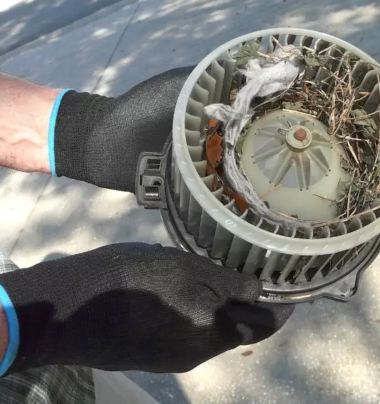 About Air Duct Rat Removal in Azusa, CA