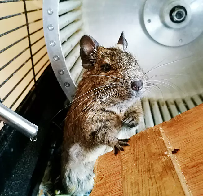 Why Homeowners & Businesses Trust Us Azusa, CA?