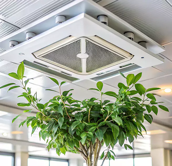 Why Homeowners & Businesses Trust Us in Azusa, CA?